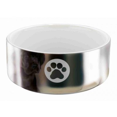Миска для собак Trixie керамічна 0.3 л, 12 см, срібло/білий 1001603 фото