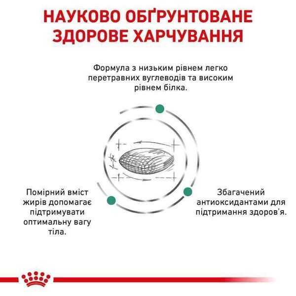 Лечебный корм для собак Royal Canin (Роял Канин) Diabetic Dog при сахарном диабет 1.5 кг. 2005183 фото