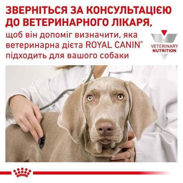 Лечебный корм для собак Royal Canin (Роял Канин) Diabetic Dog при сахарном диабет 1.5 кг. 2005183 фото