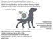 Лечебный корм для собак Royal Canin (Роял Канин) Diabetic Dog при сахарном диабет 1.5 кг. 2005183 фото 4