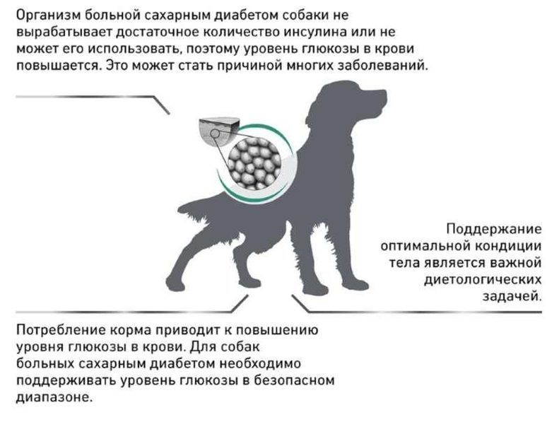 Лечебный корм для собак Royal Canin (Роял Канин) Diabetic Dog при сахарном диабет 1.5 кг. 2005183 фото
