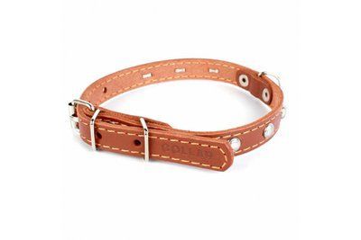 Ошейник для собак кожаный CoLLaR с украшением 14 мм, 27-35 см, коричневый 4557 фото