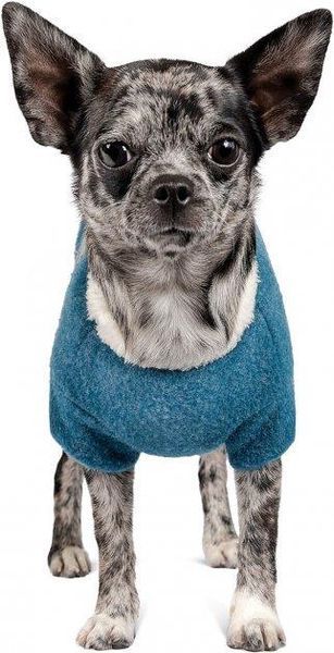 Жилет для собак Pet Fashion Apollo XS-2 Бірюзовий 2004559 фото