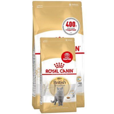 Сухой корм Royal Canin British Shorthair Adult для британских короткошерстных кошек, 2 кг + 400 г 2017164 фото