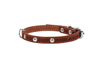 Ошейник для собак кожаный CoLLaR одинарный с украшением 12 мм, 24-32 см, коричневый 1002221 фото