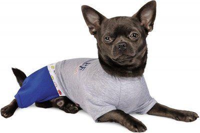 Костюм для собак Pet Fashion Астро М 2003660 фото