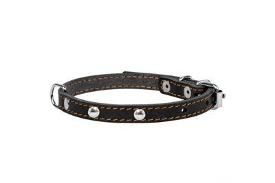 Ошейник для собак кожаный CoLLaR одинарный с украшением 12 мм, 24-32 см, черный 4554 фото