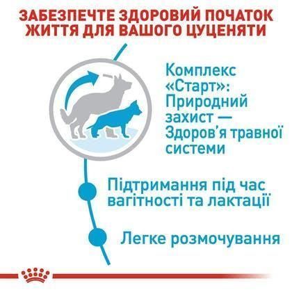 Сухий корм ROYAL CANIN Size Maxi Starter для цуценят великих порід до 2х місяців, вагітних і годуючих сук 1кг 1000478 фото