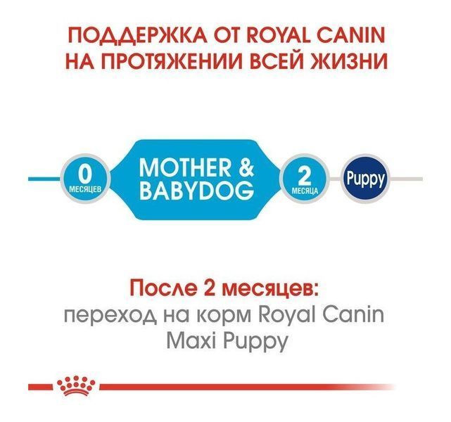 Сухий корм ROYAL CANIN Size Maxi Starter для цуценят великих порід до 2х місяців, вагітних і годуючих сук 1кг 1000478 фото