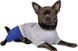 Костюм для собак Pet Fashion Астро М 2003660 фото 1