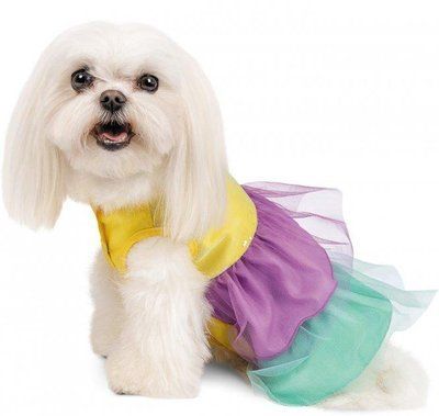 Сукня для собак Pet Fashion Ліра S 2003655 фото