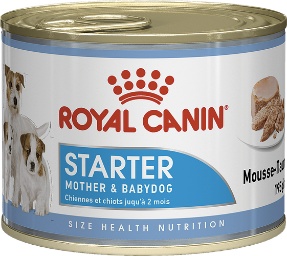 Влажный корм для щенков Royal Canin Starter Mousse 195 г. 8211 фото