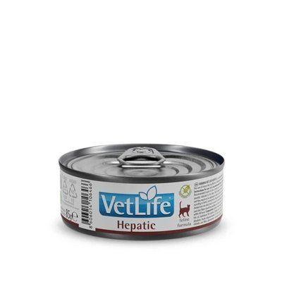 Влажный корм Farmina Vet Life для кошек, при хронической печеночной недостаточности, 85 г 2017944 фото