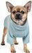 Светр для собак Pet Fashion "SENSE" М Зелений 2005487 фото 2
