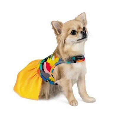 Сукня для собак Pet Fashion &laquo;SUN&raquo; XS 2005940 фото