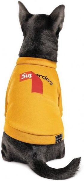 Толстовка Pet Fashion "SUPERDOG" для собак размер M, Оранжевая 2005503 фото