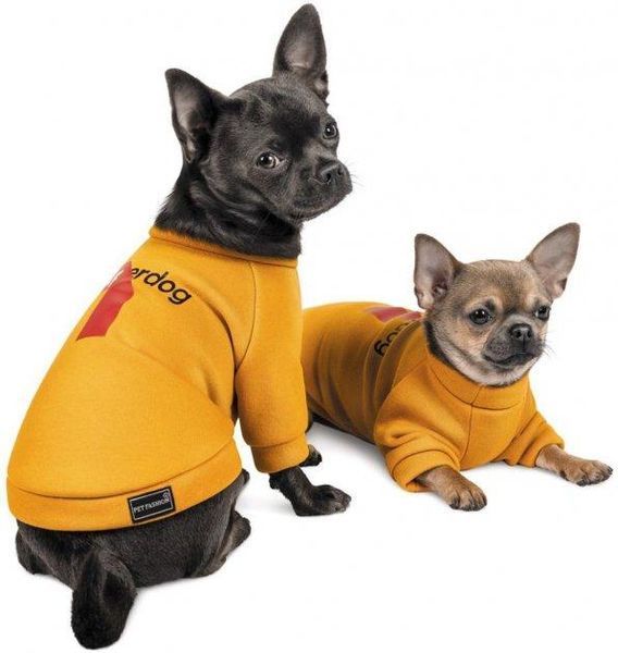 Толстовка Pet Fashion "SUPERDOG" для собак размер M, Оранжевая 2005503 фото