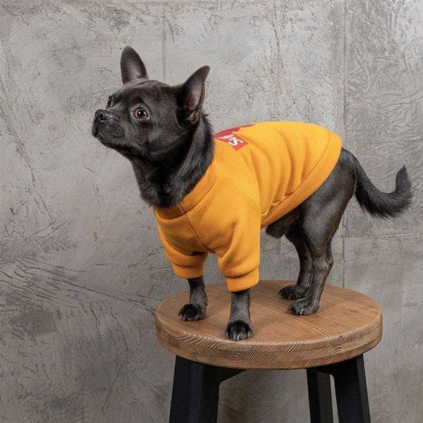 Толстовка Pet Fashion "SUPERDOG" для собак размер M, Оранжевая 2005503 фото