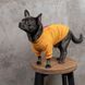 Толстовка Pet Fashion "SUPERDOG" для собак размер M, Оранжевая 2005503 фото 6
