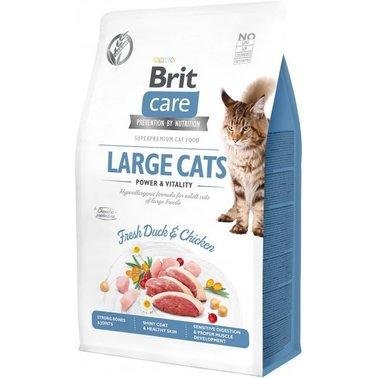 Сухий корм Brit Care Cat GF Large cats Power & Vitality для котів великих порід 2 кг 2012578 фото