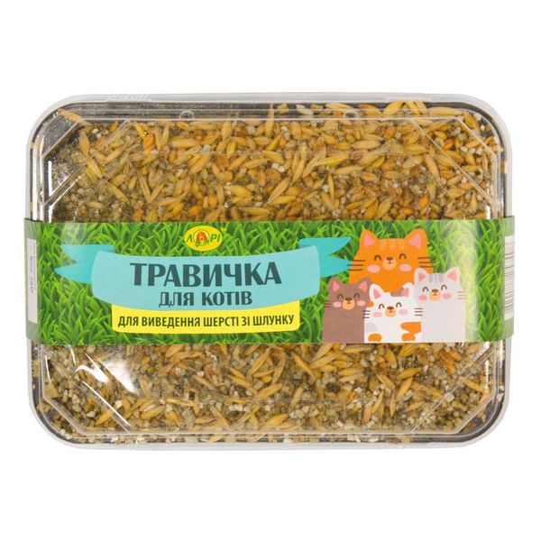 Травичка для котів Лорі (пластиковий контейнер + штучний грунт) 60г. 1008067 фото