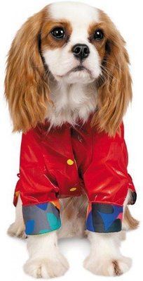 Вітрівка Pet Fashion "AIR" для собак розмір S Червона 2005498 фото