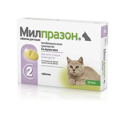 Таблетки KRKA Милпразон от глистов для кошек весом менее 2 кг, 4 мг/10 мг, цена за 1 таблетку 2017243 фото