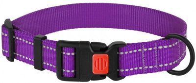 Ошейник для собак BronzeDog Active нейлоновый с пластиковой пряжкой L Фиолетовый 2003990 фото