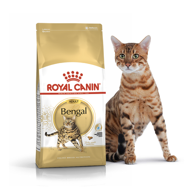 Сухий корм для котів Royal Canin Bengal Adult від 1 року 0.4 кг. 1007666 фото