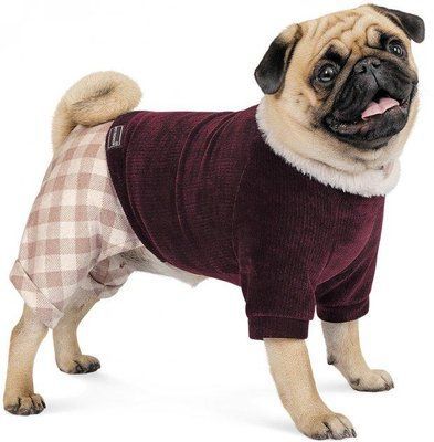 Костюм для собак Pet Fashion SPELL XS-2 Сиреневый с розовый 2006532 фото