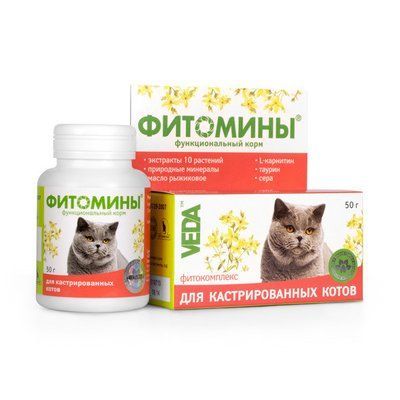 Витамины для кошек ФитоМины с фитокомплексом для кастрированных котов, 100 таб. 5904 фото