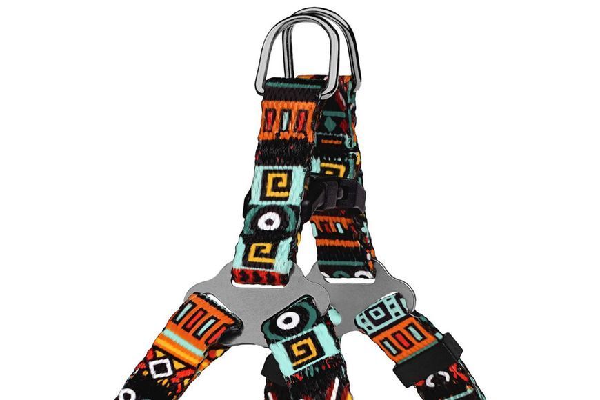 Шлей BronzeDog Tribal для собак, нейлон, принт етнічний, ментоловий, 28-40 см 2003798 фото