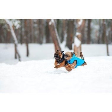 Курточка двостороння AiryVest для великих собак, розмір L 65, чорно-блакитна 2004346 фото