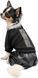 Костюм для собак Pet Fashion VOGUE S Черный 2006533 фото 1