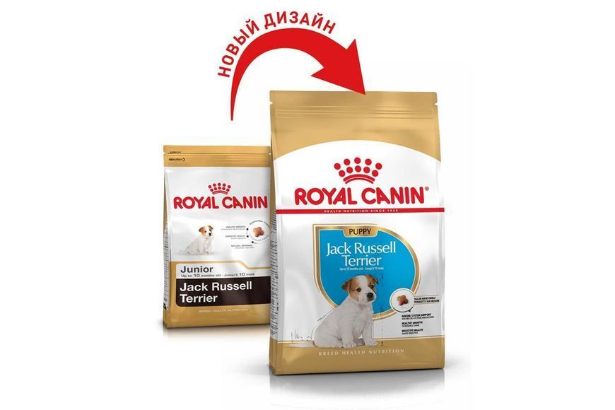 Сухий корм для цуценят Royal Canin Jack Russell Terrier Puppy джек рассел тер'єра до 10 місяців, 500 г. 1005832 фото