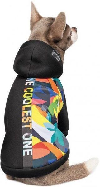Толстовка для собак Pet Fashion "THE COOLEST" M2, Многоцветная 2005555 фото