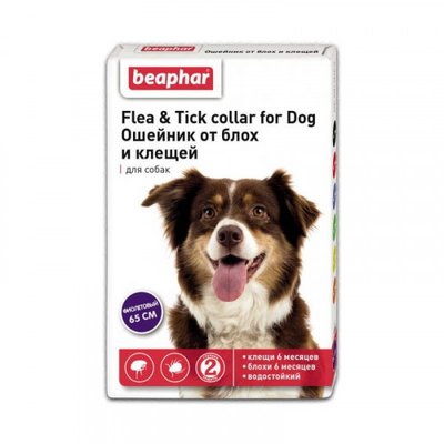 Нашийник Beaphar проти бліх та кліщів для собак 65 см фіолетовий 1006433 фото