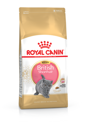 Сухий корм для кошенят Royal Canin British Shorthair Kitten породи Британська короткошерста 0.4 кг 1002652 фото