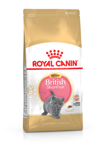 Сухой корм для котят Royal Canin British Shorthair Kitten породы Британская короткошерстная 0.4 кг 1002652 фото