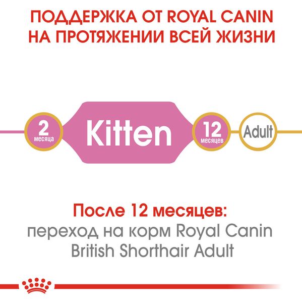 Сухой корм для котят Royal Canin British Shorthair Kitten породы Британская короткошерстная 0.4 кг 1002652 фото