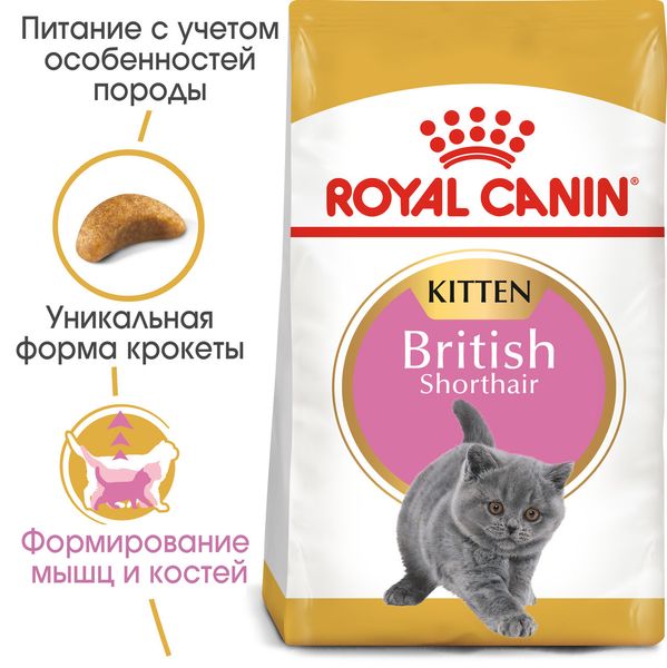 Сухой корм для котят Royal Canin British Shorthair Kitten породы Британская короткошерстная 0.4 кг 1002652 фото