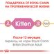 Сухой корм для котят Royal Canin British Shorthair Kitten породы Британская короткошерстная 0.4 кг 1002652 фото 3