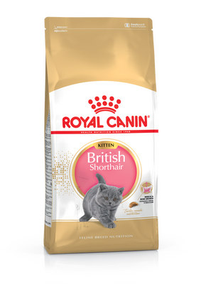 Сухой корм для котят Royal Canin British Shorthair Kitten породы Британская короткошерстная 2 кг. 1005597 фото