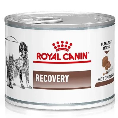 Вологий корм для котів та собак в реабілітаційний період Royal Canin Recovery 195 г (домашня птиця) 1007534 фото