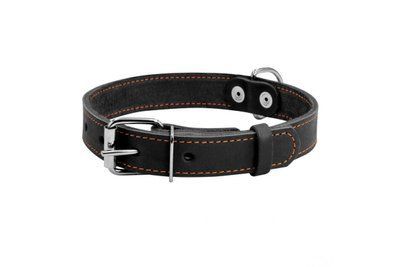 Ошейник для собак кожаный CoLLaR 25 мм, 38-50 см, черный 4580 фото