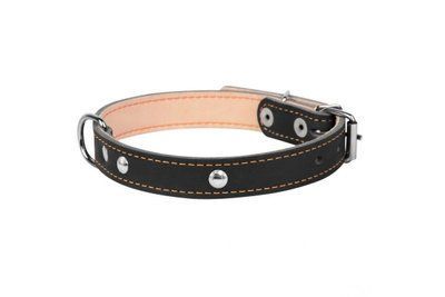 Ошейник для собак кожаный CoLLaR двойной с украшением 20 мм, 32-40 см, черный 4572 фото