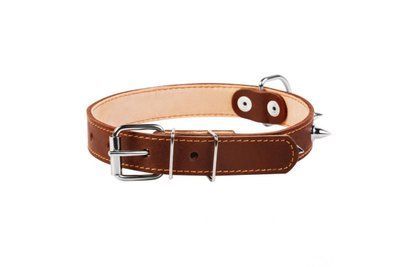 Ошейник для собак кожаный CoLLaR двойной с шипами 25 мм, 38-50 см, коричневый 1002603 фото